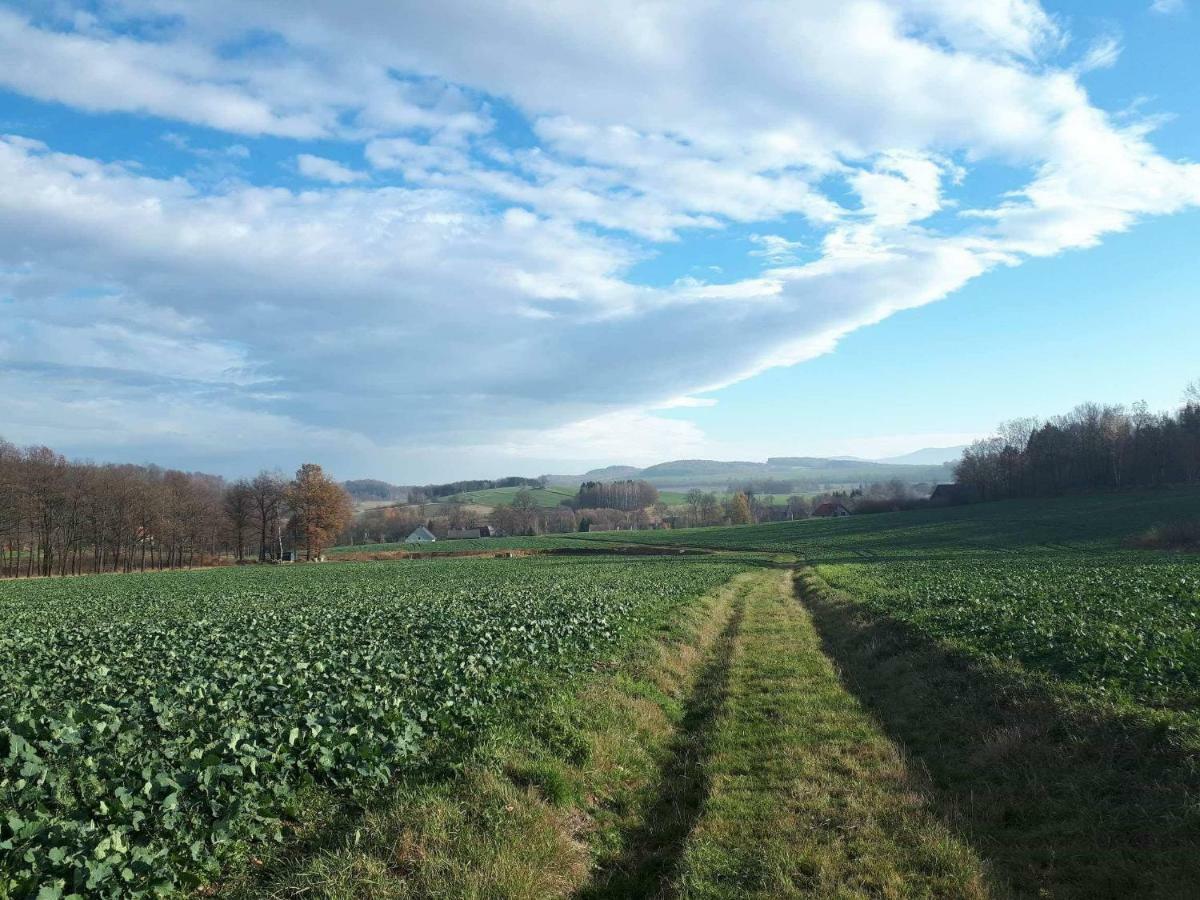 Agroturystyka U Swiatkow Stara Kamienica Luaran gambar