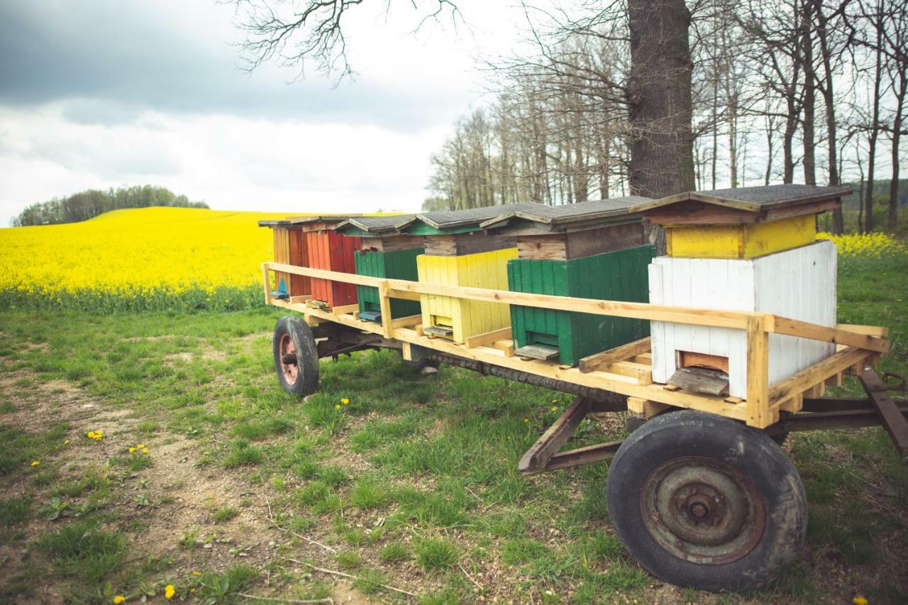 Agroturystyka U Swiatkow Stara Kamienica Luaran gambar